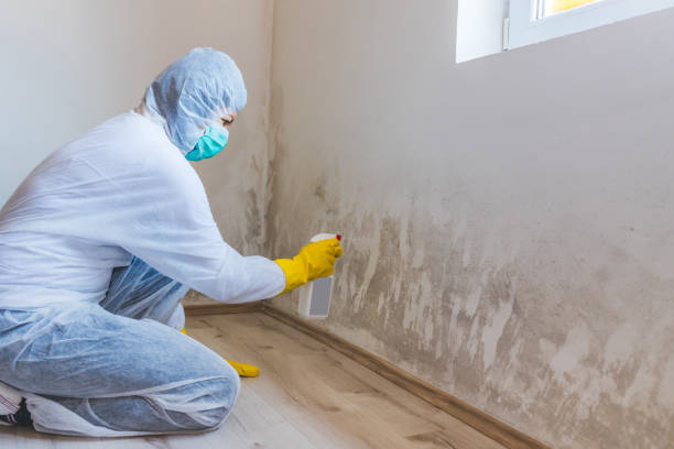 Mold Remediation specialist working in Ridgefield Park